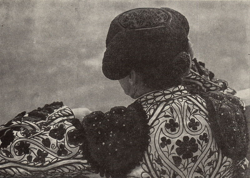 Plik:Trepanowski tadeusz matador.jpg