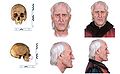Rekonstrukcja twarzy Kopernika.jpg