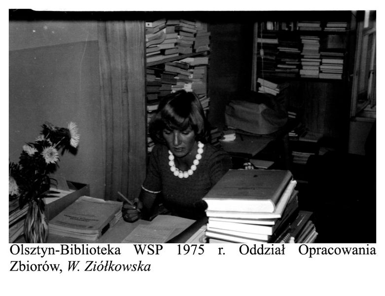 Plik:Bibliotekwsp2.jpg
