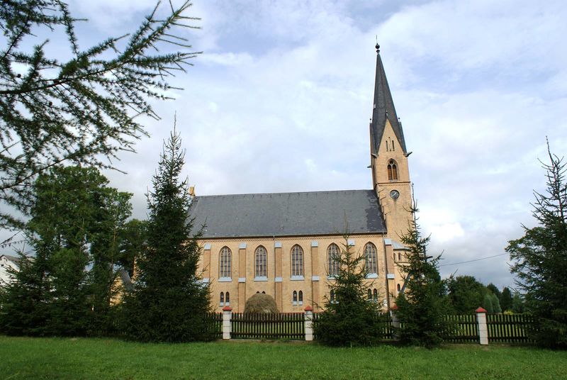 Plik:Kosc rozogi.jpg