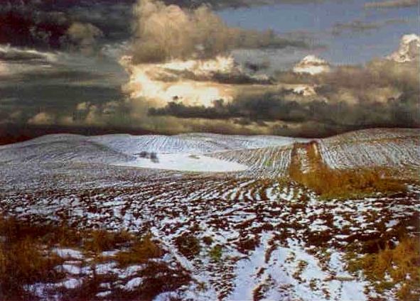 Plik:Zawadzki jacek foto1.jpg