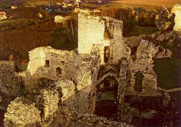 Plik:Bronakowski waldemar4.jpg