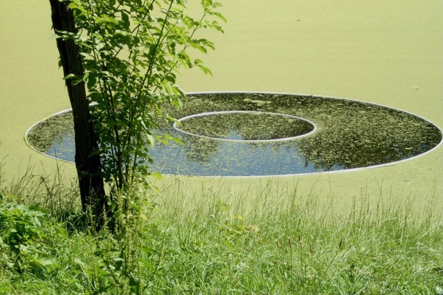 Plik:Mumele.jpg