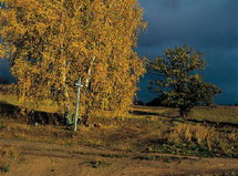 Plik:Ordelewskifot1.jpg