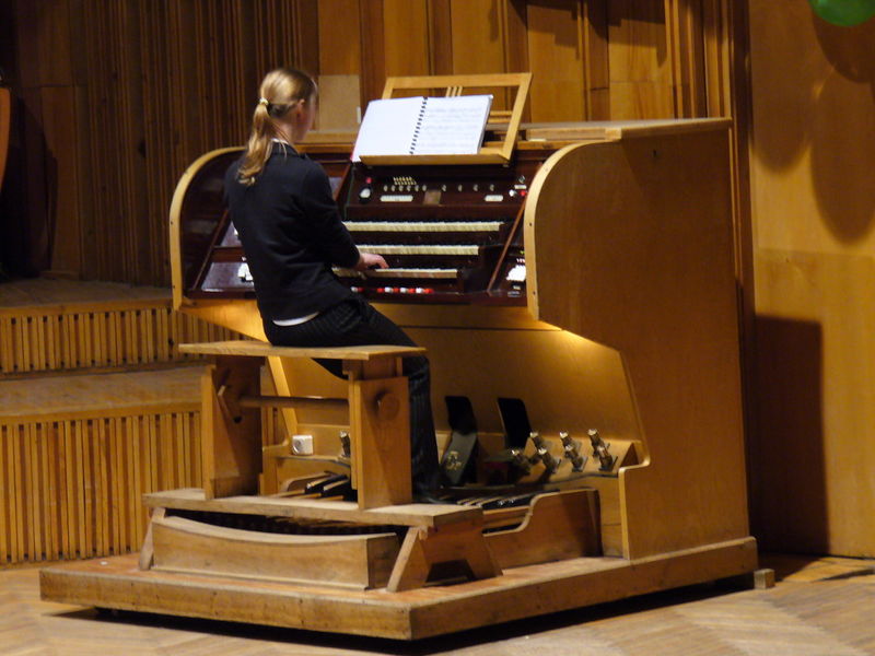 Plik:MKOrg.2007.36.JPG