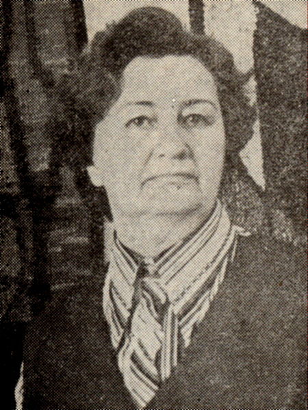 Plik:Radomska1.jpg